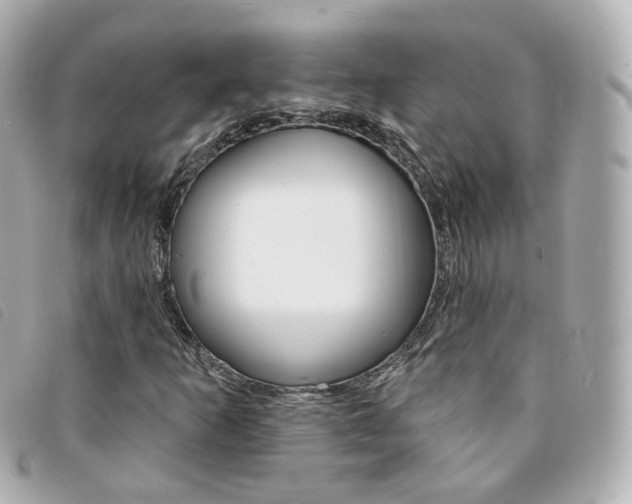 X0000094211253200710260926