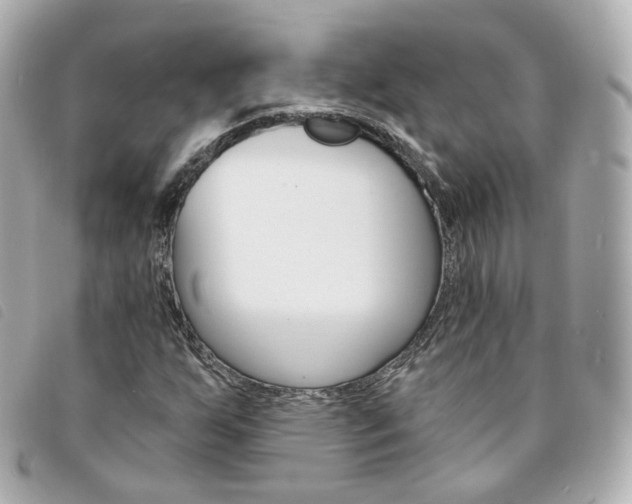 X0000094211255200710260926