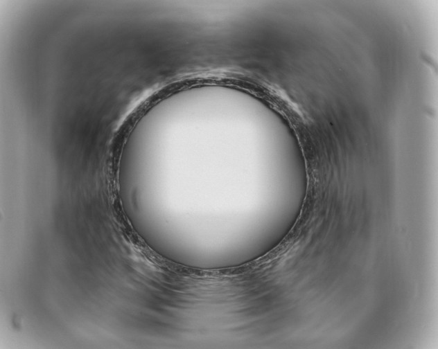 X0000094211256200710260926