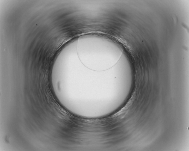 X0000094211257200710260926