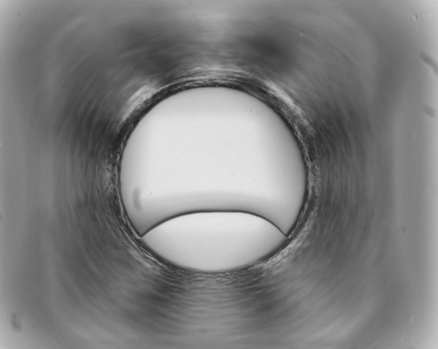 X0000094211259200710260926