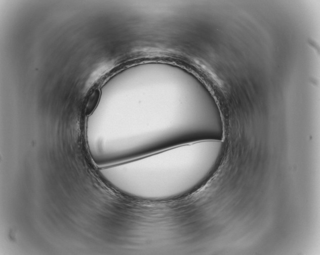X0000094211261200710260926
