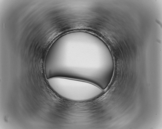 X0000094211265200710260926