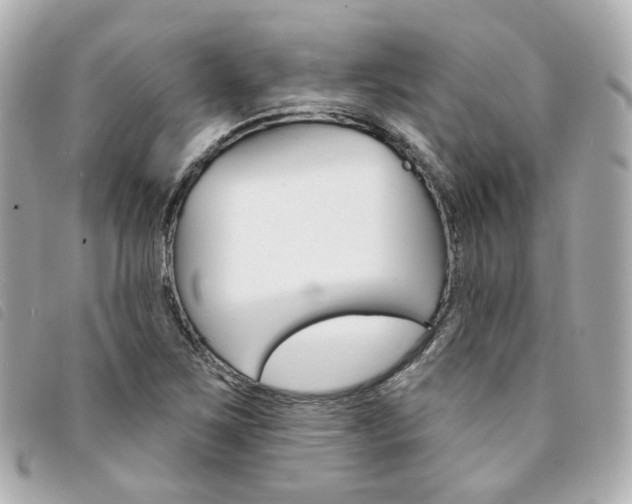 X0000094211267200710260926