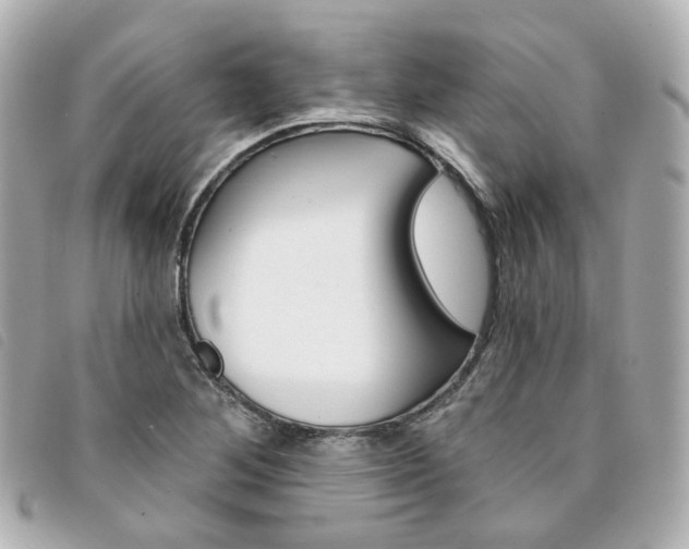 X0000094211268200710260926