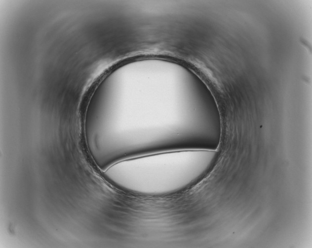 X0000094211270200710260926