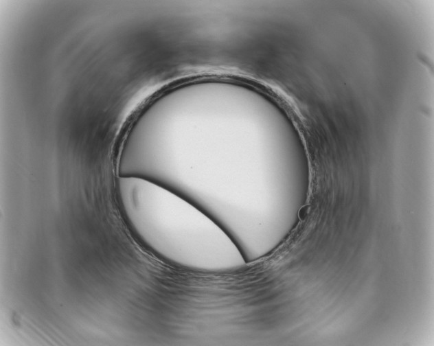 X0000094211271200710260926