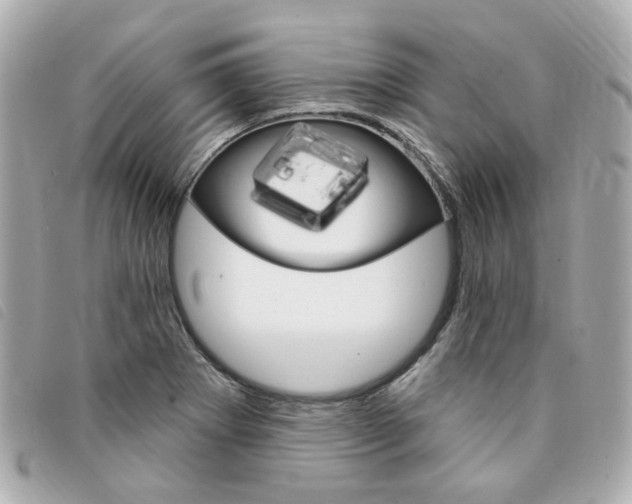 X0000094211273200710260926