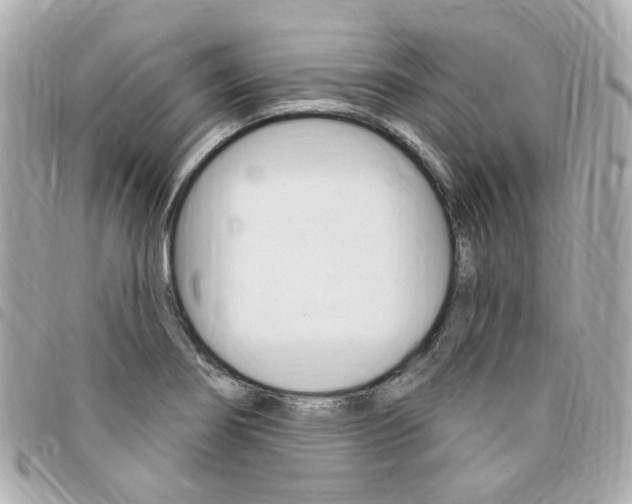 X0000094211274200710260926