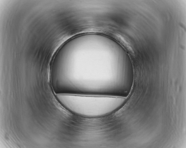 X0000094211276200710260926