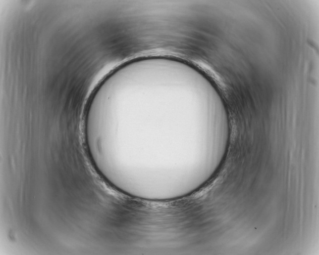 X0000094211278200710260926