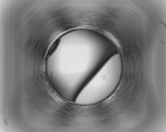 X0000094211292200710260926