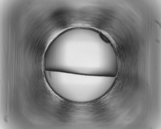 X0000094211295200710260925