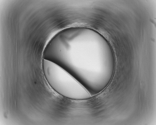 X0000094211296200710260925