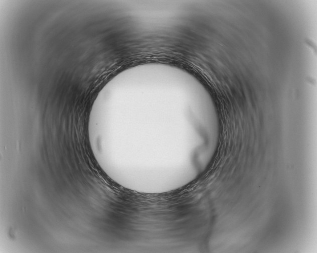 X0000094211298200710260925