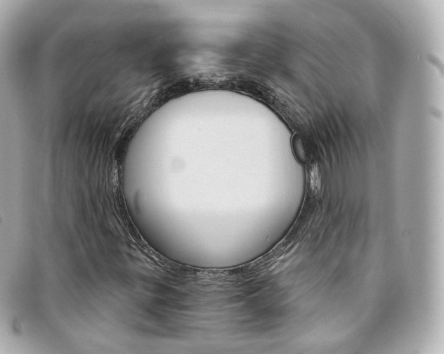 X0000094211299200710260925
