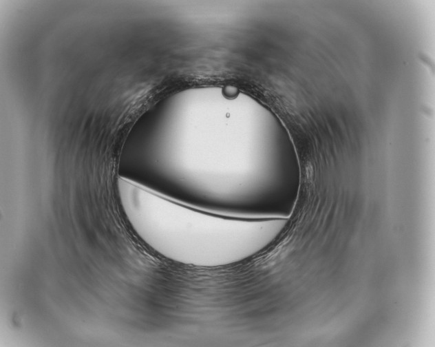X0000094211300200710260925