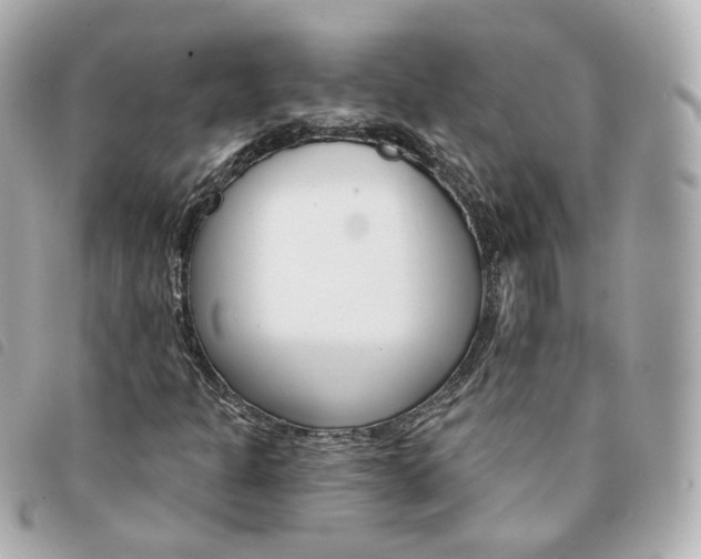 X0000094211301200710260925