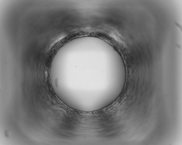 X0000094211302200710260925