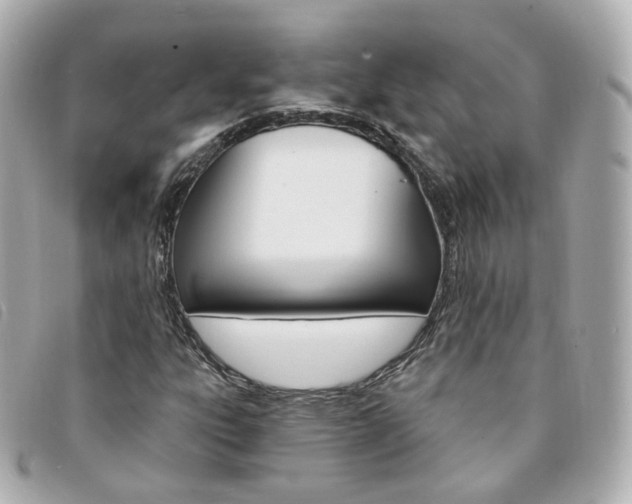 X0000094211303200710260925