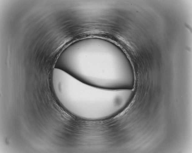 X0000094211305200710260925