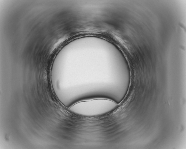 X0000094211307200710260925