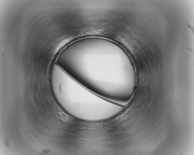 X0000094211308200710260925
