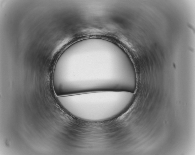 X0000094211309200710260925