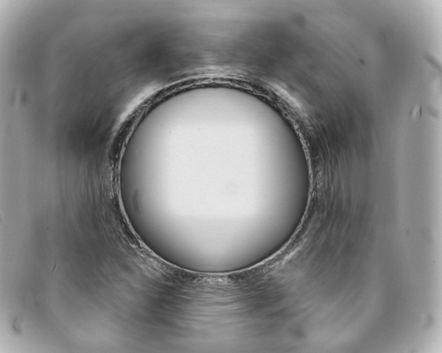 X0000094211310200710260925