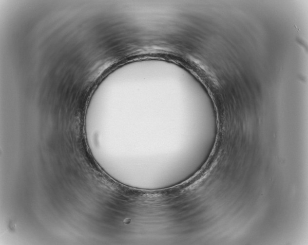 X0000094211313200710260925