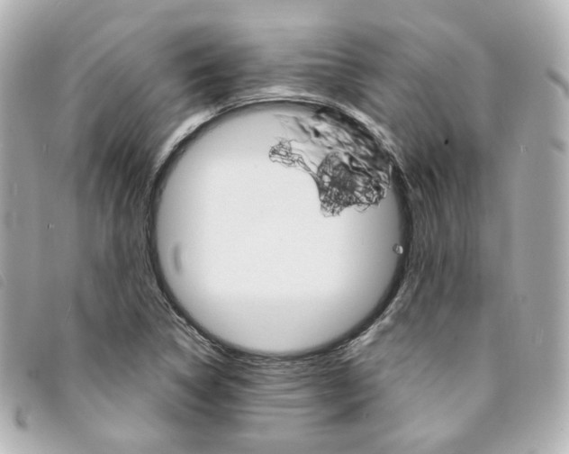 X0000094211314200710260925