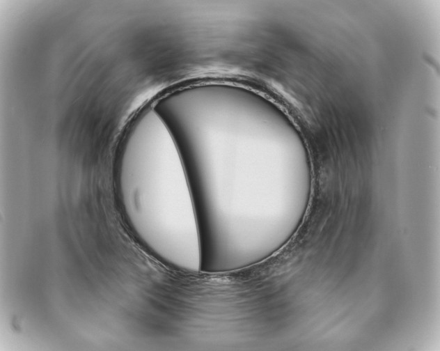 X0000094211315200710260925