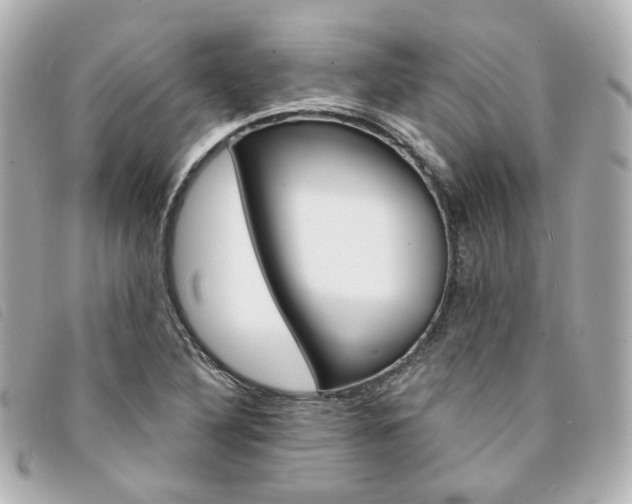 X0000094211316200710260925