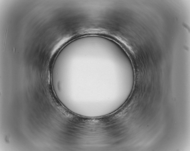X0000094211317200710260925