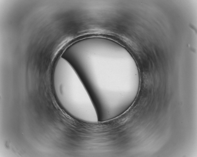 X0000094211318200710260925