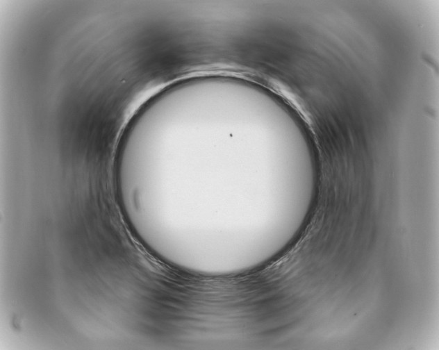 X0000094211320200710260925