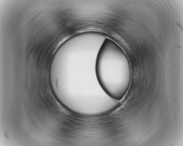 X0000094211321200710260925