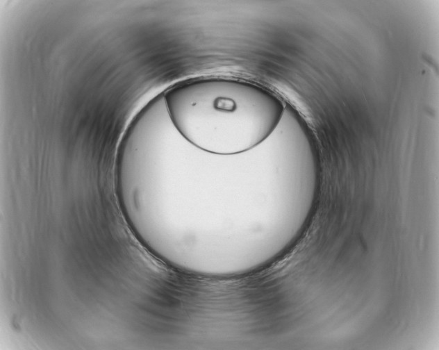 X0000094211324200710260925