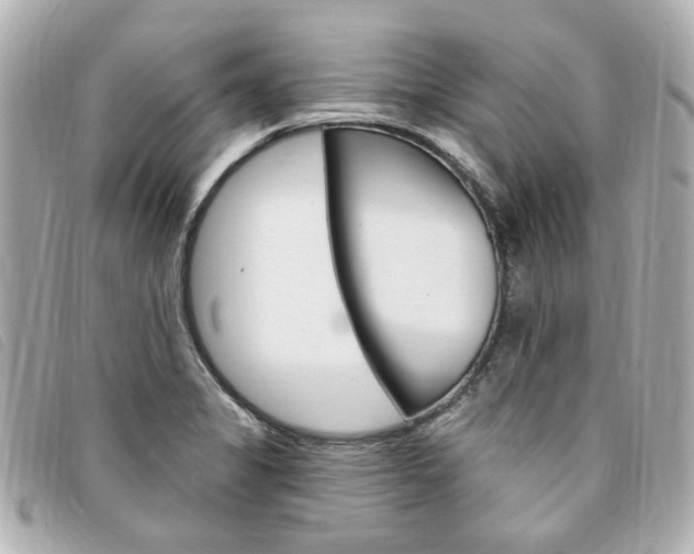 X0000094211325200710260925
