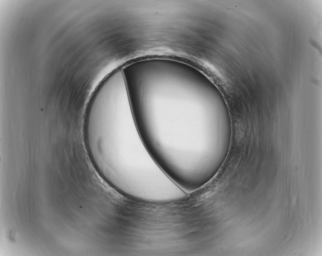X0000094211326200710260925