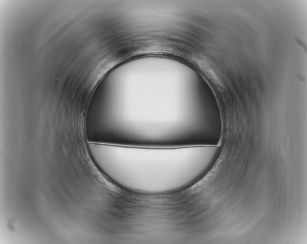 X0000094211329200710260925