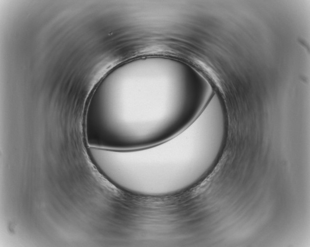 X0000094211330200710260925