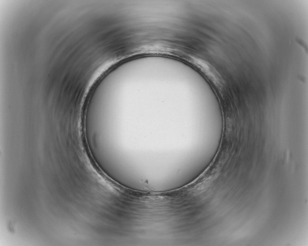 X0000094211331200710260925