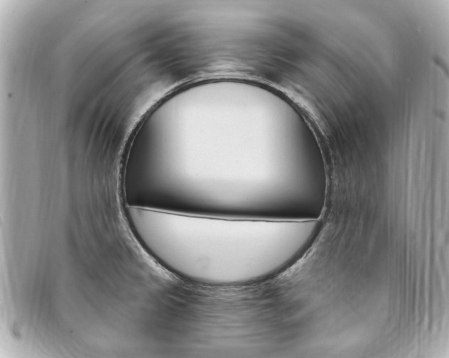 X0000094211333200710260925