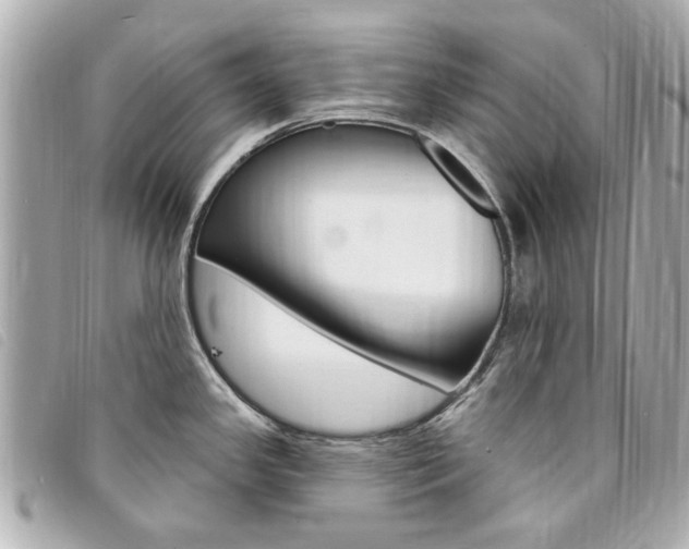 X0000094211341200710260925