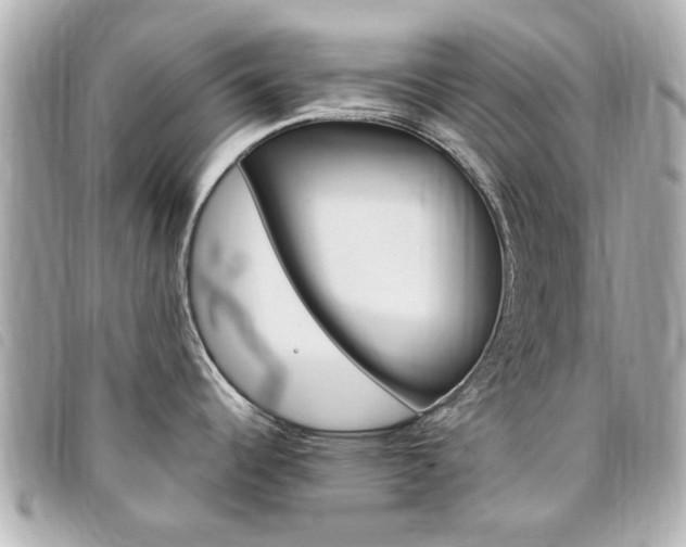 X0000094211344200710260925