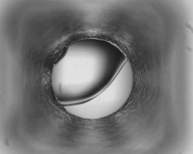 X0000094211349200710260925