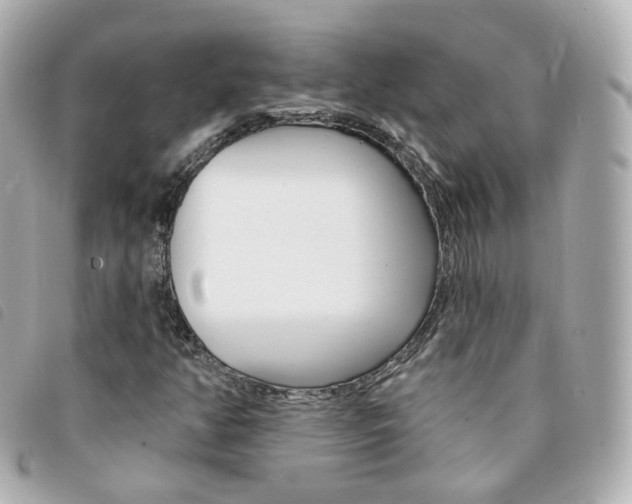 X0000094211350200710260925