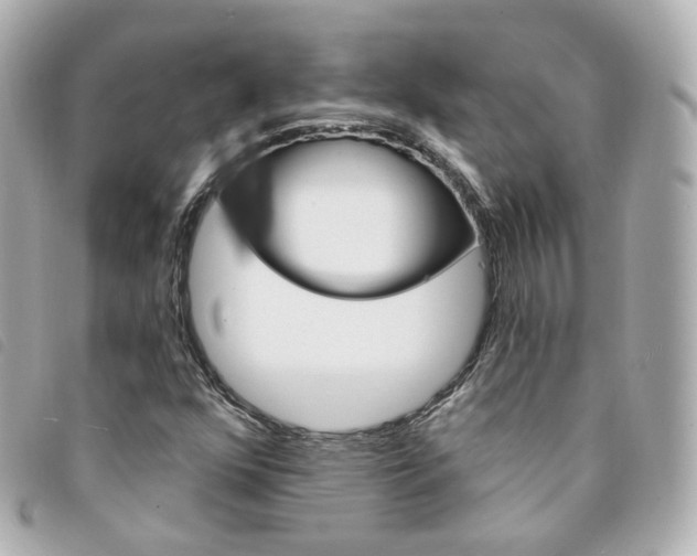 X0000094211352200710260925