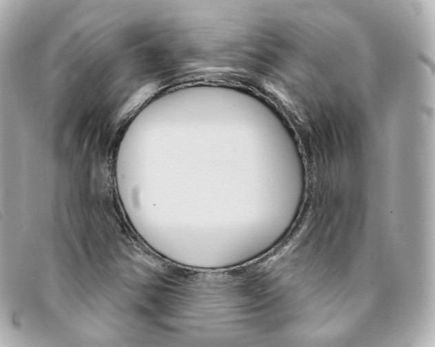 X0000094211354200710260925